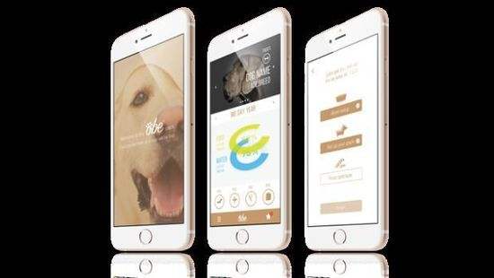 安卓系统app制作分析