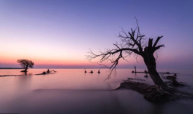 在济宁做微信公众号开发能为公司带来什么利益？