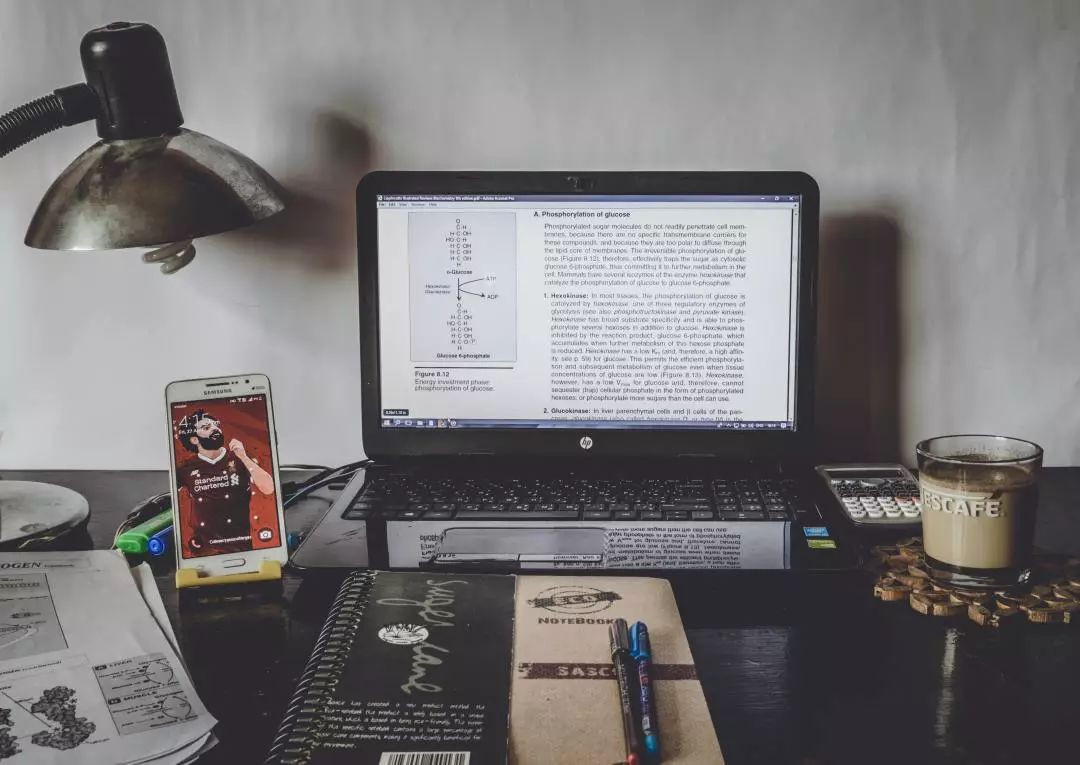 如何设计响应式网站可以留住一条“鱼”